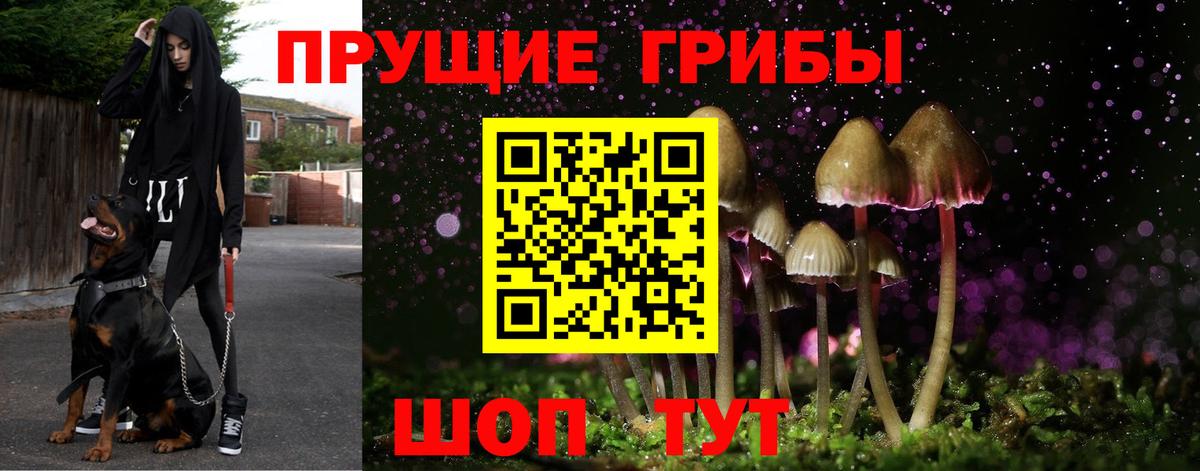 Галлюциногенные грибы мухоморы  Вход с VPN  Ялуторовск 